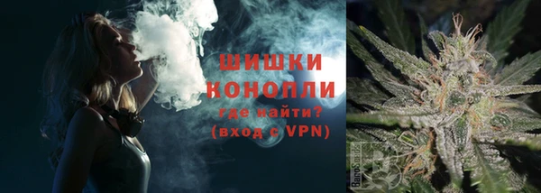 МДПВ Гусев