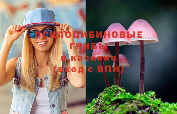 каннабис Гусиноозёрск