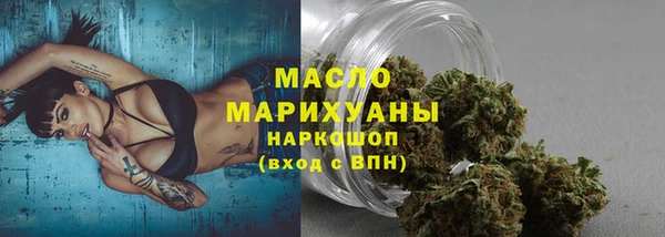 МДПВ Гусев