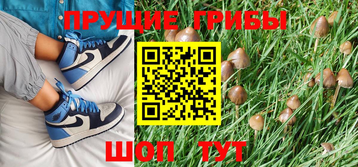 Мценск  Галлюциногенные грибы Magic Shrooms  закладки  Вход с VPN 