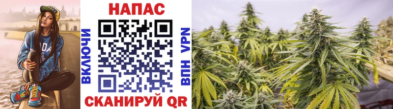 Марихуана SATIVA & INDICA Мценск